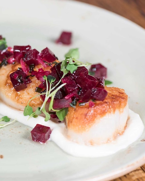 Scallops
